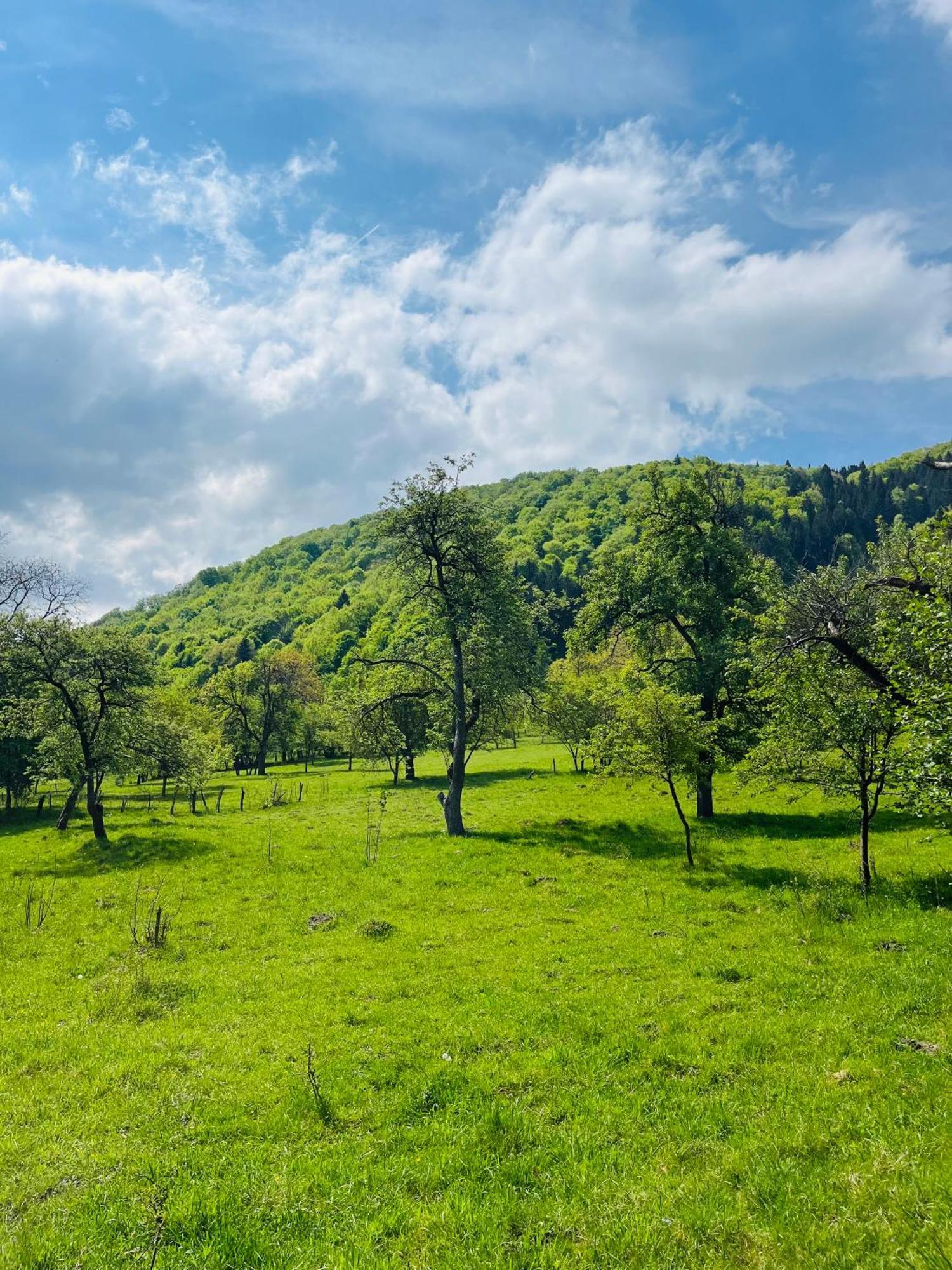 Villa Alba By Akasha Retreat Bran  Zewnętrze zdjęcie