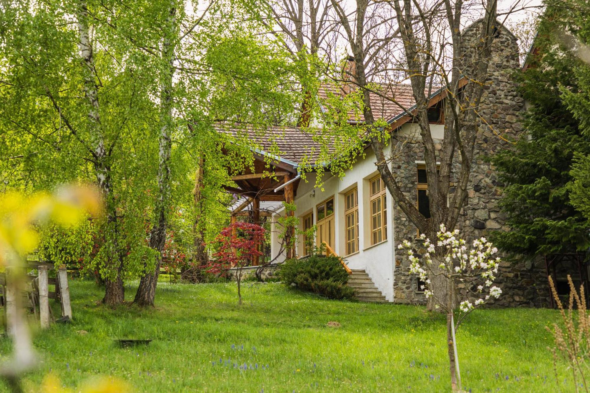 Villa Alba By Akasha Retreat Bran  Zewnętrze zdjęcie